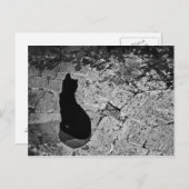 Carte Postale Chat noir (Devant / Derrière)