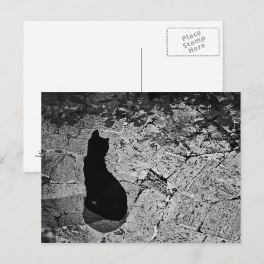 Carte Postale Chat noir (Devant / Derrière)