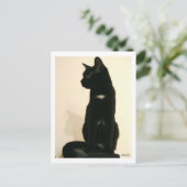 Carte Postale chat noir assis (Debout devant)