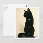 Carte Postale chat noir assis (Devant / Derrière)