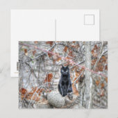 Carte Postale Chat noir assis à l'extérieur (Devant / Derrière)