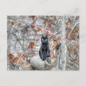 Carte Postale Chat noir assis à l'extérieur (Devant)