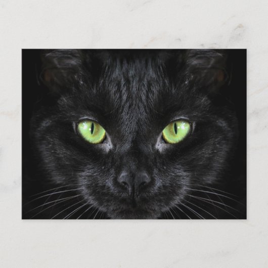 Carte Postale Chat noir aux yeux verts (Devant)