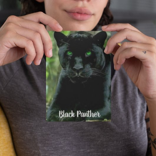 Carte Postale Chat noir avec les yeux verts