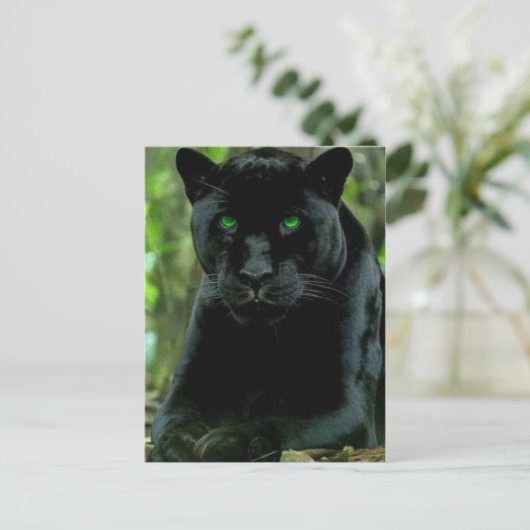 Carte Postale Chat noir avec les yeux verts (Debout devant)