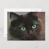 Carte Postale Chat noir avec portrait aux yeux verts (Devant / Derrière)