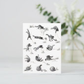 Carte Postale Chat noir & Boule en laine, Alexandre Steinlen (Debout devant)