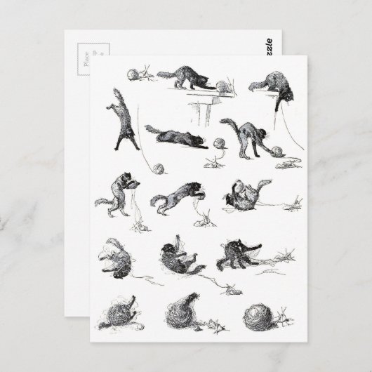 Carte Postale Chat noir & Boule en laine, Alexandre Steinlen (Devant / Derrière)