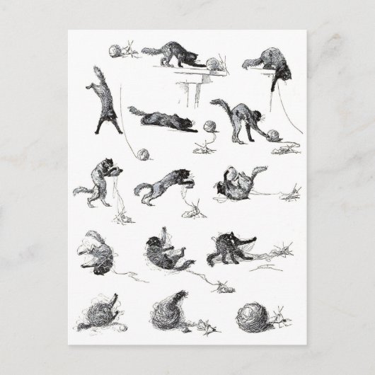 Carte Postale Chat noir & Boule en laine, Alexandre Steinlen (Devant)