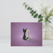 Carte Postale Chat noir Chat blanc (couleur 4) (Debout devant)