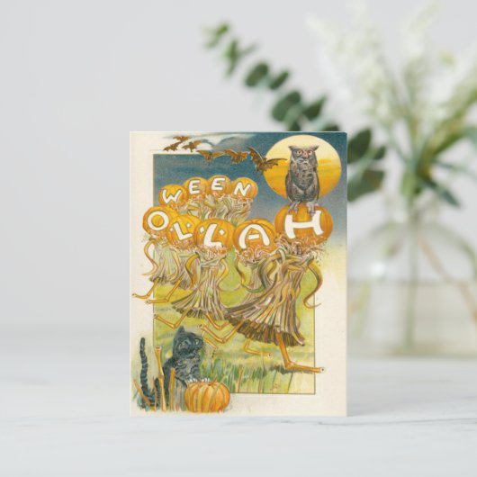 Carte Postale Chat noir Citrouille Chouette Chouette Lune (Debout devant)