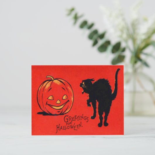 Carte Postale Chat noir Citrouille Jack-o'-lantern (Debout devant)