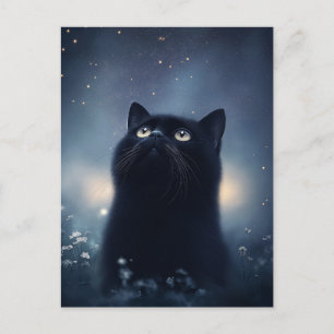 Carte Postale Chat noir contemplant le ciel nocturne étoilé