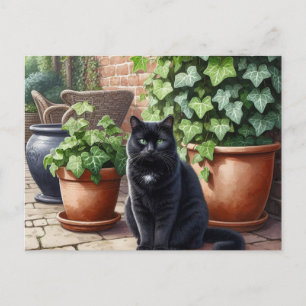 Carte Postale Chat noir dans le jardin Amoureux des chats