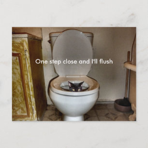 Carte Postale Chat noir dans les toilettes