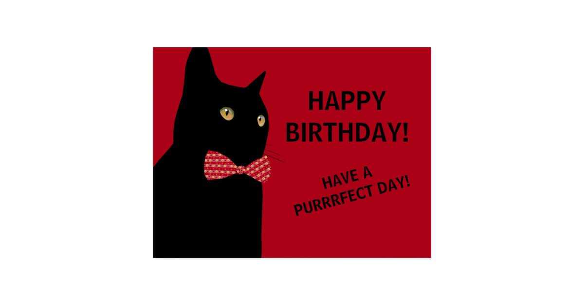 Joyeux Anniversaire Chat Noir Et Blanc Carte Postale Chat noir de joyeux anniversaire avec une cravate | Zazzle.be