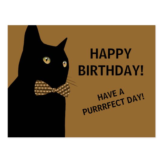 Carte Postale Chat Noir De Joyeux Anniversaire Avec Une Cravate Zazzle Be