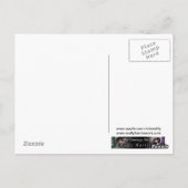 Carte Postale Chat noir de sorcière d'Halloween et Jack-O-Lanter (Dos)