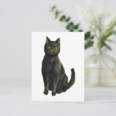 Carte Postale Chat noir d'Halloween à l'ancienne (Debout devant)