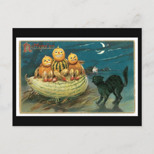 Carte Postale Chat noir d'Halloween et Citrouille (Devant)