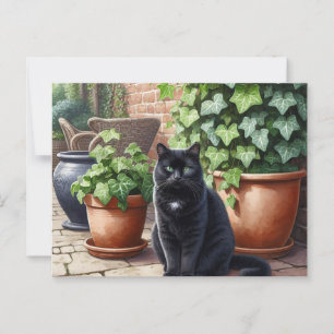 Carte Postale Chat noir en Amoureux de les chats de jardin