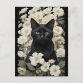 Carte Postale chat noir en fleurs blanches (Devant)