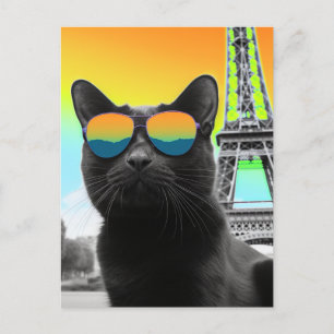 Carte Postale Chat noir en Lunettes de soleil à Paris