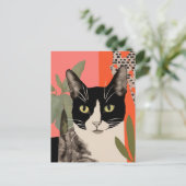 Carte Postale Chat noir et blanc (Debout devant)