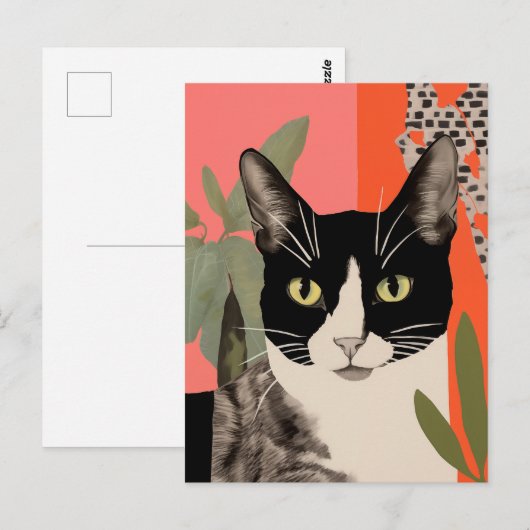 Carte Postale Chat noir et blanc (Devant / Derrière)