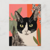 Carte Postale Chat noir et blanc (Devant)
