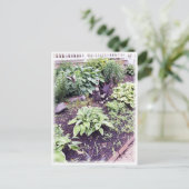 Carte Postale Chat noir et blanc (Debout devant)