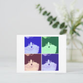 Carte Postale Chat noir et blanc à poils longs (Debout devant)