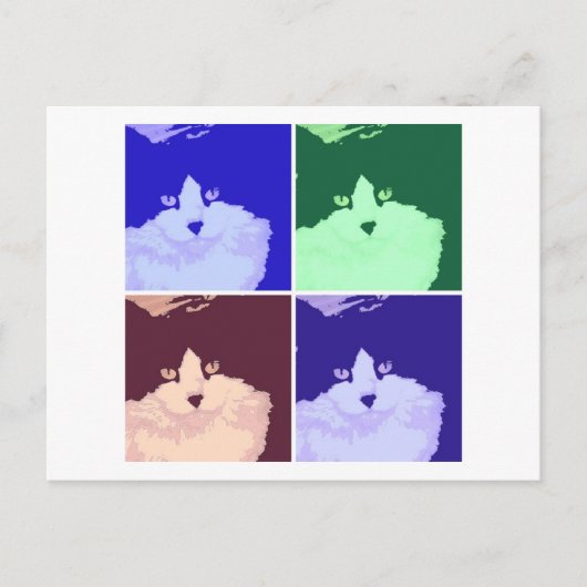 Carte Postale Chat noir et blanc à poils longs (Devant)