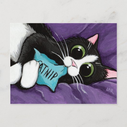 Carte Postale Chat noir et blanc avec Coussin de chat - Art de c (Devant)