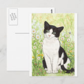 Carte Postale Chat noir et blanc avec marguerites (Devant / Derrière)