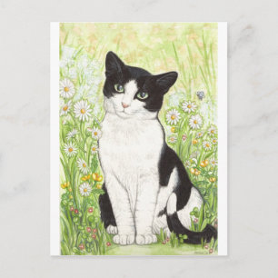 Carte Postale Chat noir et blanc avec marguerites