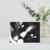 Carte Postale Chat noir et blanc face proche (Debout devant)