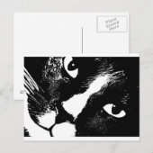 Carte Postale Chat noir et blanc face proche (Devant / Derrière)