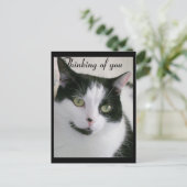 Carte Postale Chat noir et blanc qui pense à vous (Debout devant)