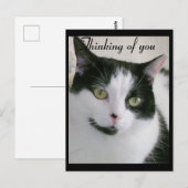 Carte Postale Chat noir et blanc qui pense à vous (Devant / Derrière)