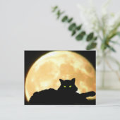 Carte Postale Chat noir et Pleine lune de repos (Debout devant)