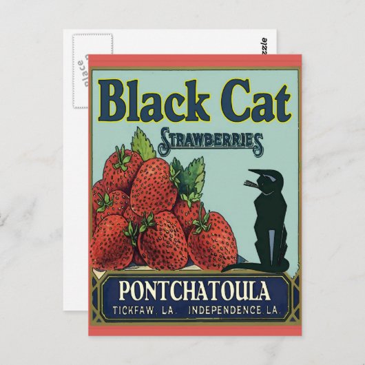 Carte Postale Chat noir, fraises Pontchatoula (Devant / Derrière)