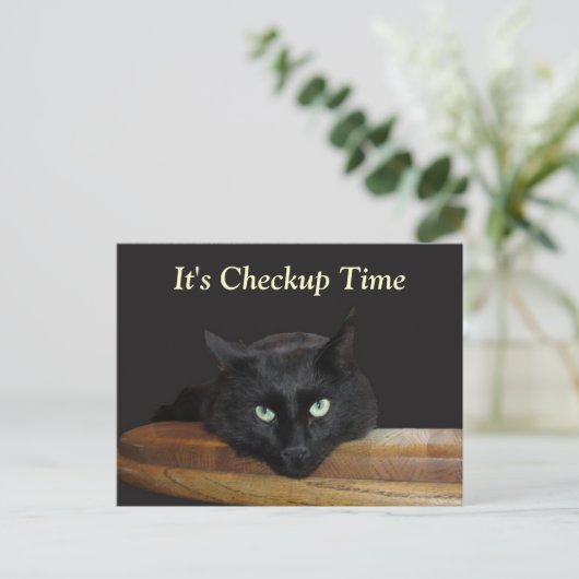 Carte postale Chat Noir Funny (Debout devant)