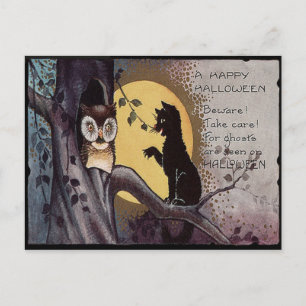 Carte Postale Chat noir Hibou Pleine lune Arbre Nuit