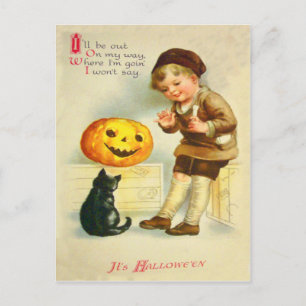 Carte Postale Chat Noir Jack O Lanterne Fille Citrouille