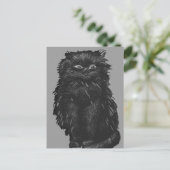 Carte Postale Chat noir monochrome (Debout devant)