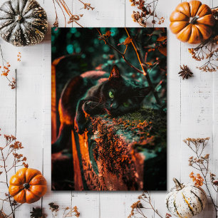 Carte Postale Chat noir occulte gothique au cimetière