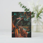 Carte Postale Chat noir occulte gothique au cimetière (Debout devant)