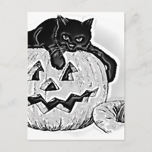 Carte Postale Chat noir orange citrouille Halloween (Devant)