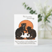 Carte Postale Chat noir pleine lune orange noir (Debout devant)